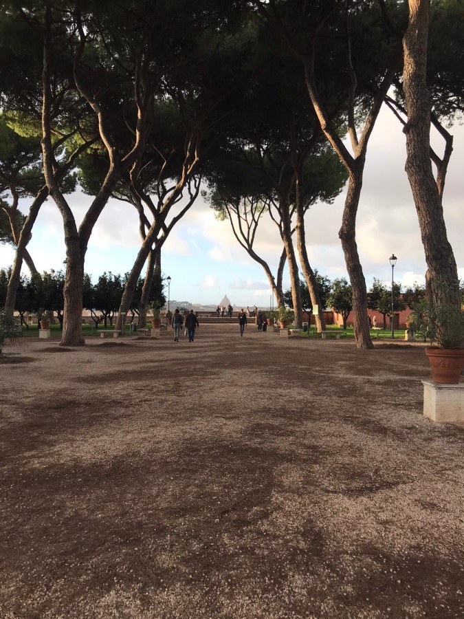 Quiet pine-lined path leading toward a distant view of St Peter's Basilica at dusk
